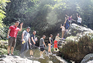 溫馨綠韻山莊，悠然茶馬古道——綠之韻集團中高層管理干部益陽安化溯源之旅