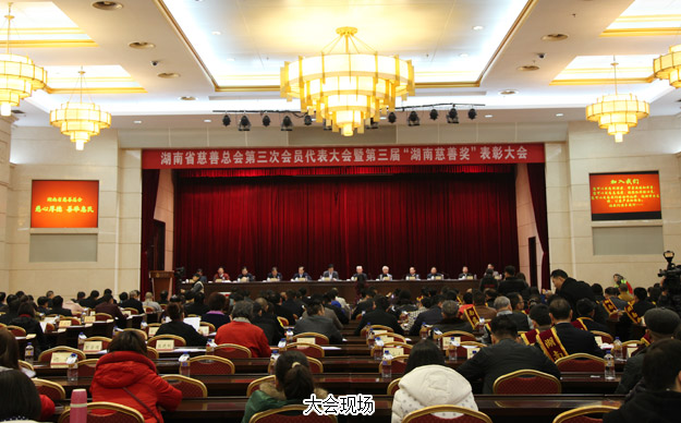 胡國安董事長當選湖南省慈善總會副會長，綠之韻集團榮膺“湖南省慈善獎”殊榮
