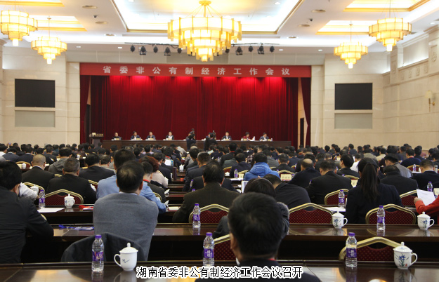 綠之韻集團董事長胡國安出席湖南省委非公有制經(jīng)濟工作會議，并接受湖南衛(wèi)視、經(jīng)視采訪