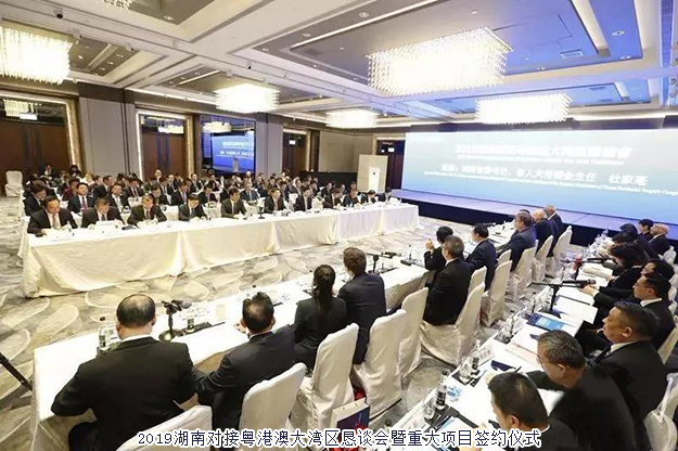 胡國安董事長參加2019湖南-粵港澳大灣區(qū)投資貿(mào)易洽談周，探索融入大灣區(qū)，布局“大健康+金融”