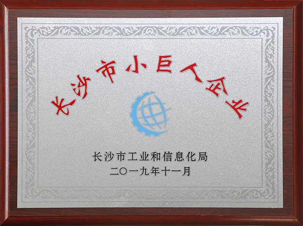 喜訊｜綠之韻獲評(píng)“首批長沙市工業(yè)和信息化類小巨人企業(yè)”