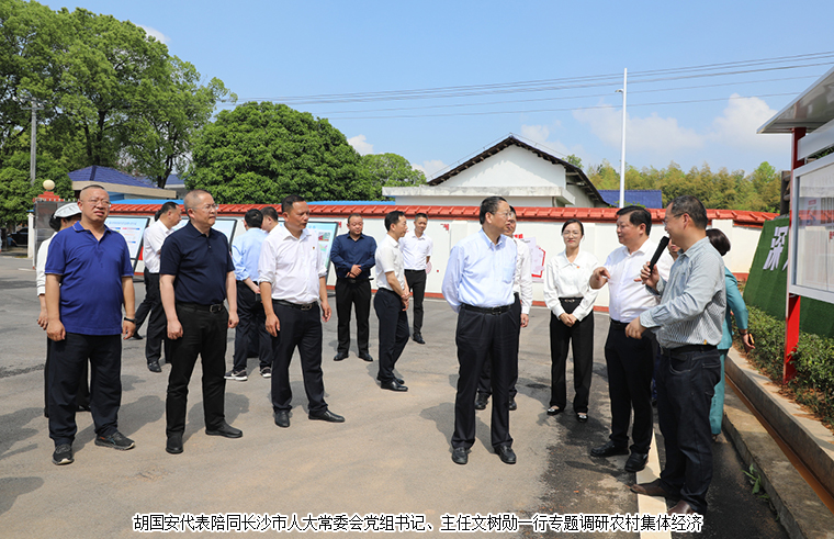 胡國安代表陪同長沙市人大常委會黨組書記、主任文樹勛一行專題調(diào)研農(nóng)村集體經(jīng)濟，助力鄉(xiāng)村振興